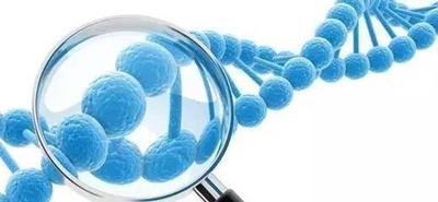 分子对接